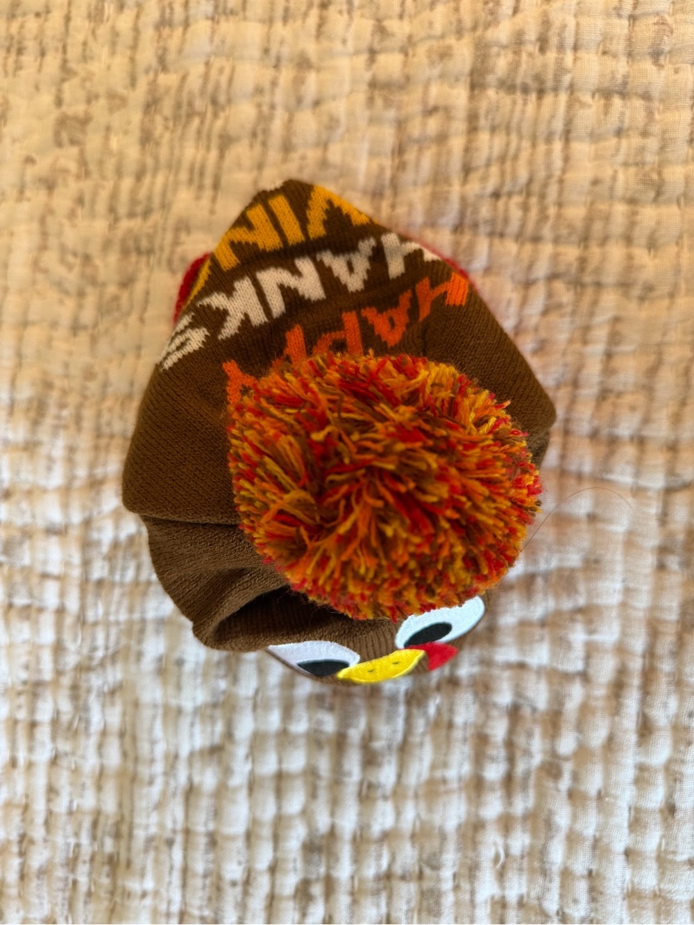 Thanksgiving Beanie - Picture 4 of 4